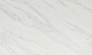 Bianco Vina Quartz Stone